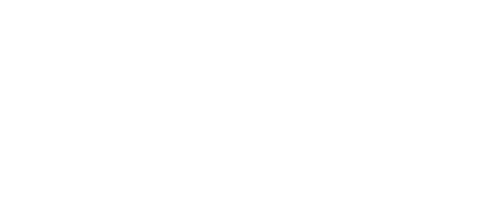 Andes Agency